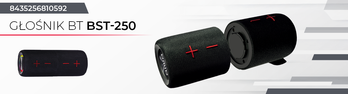 AIWA głośnik BT BST-250 czarny 8435256810592