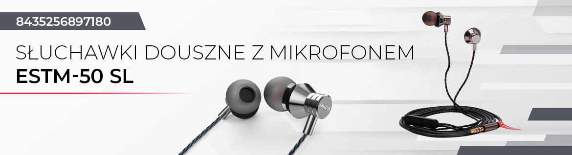 AIWA słuchawki ESTM-50SL dokanałowe przewodowe srebrne 8435256897180