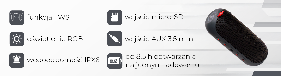 AIWA głośnik BT BST-650MG szary 8435256897791